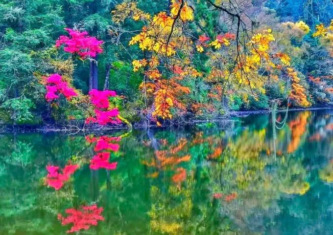 虫虫助手下载
