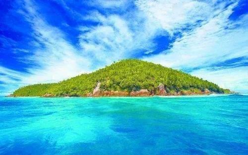 小猫钓鱼游戏龙王版有船